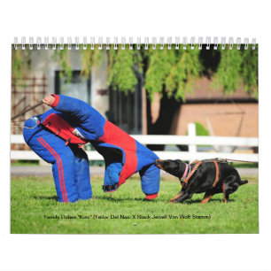 Calendário 2013 da proteção de Dobes da famíli