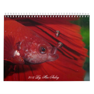 Calendário 2013 de Betta da meia lua pelo Mac