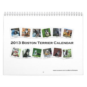 Calendário 2013 de Boston Terrier