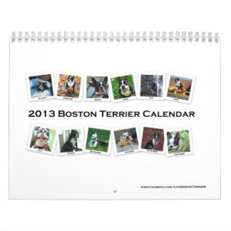Calendário 2013 de Boston Terrier