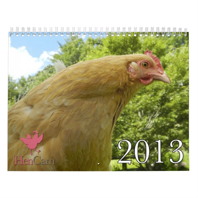 Calendário 2013 de HenCam (Capa)