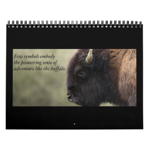 Calendário 2013 do búfalo