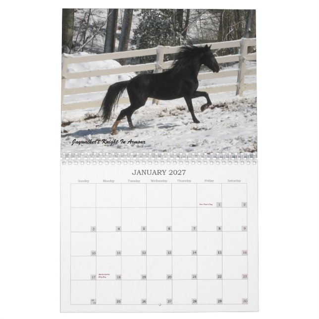Calendário 2013 do cavalo da montanha (Jan 2027)