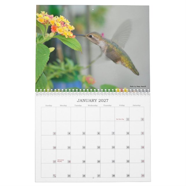 Calendário 2013 do colibri (Jan 2027)
