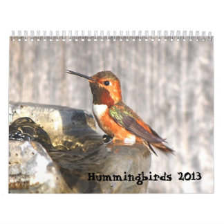 Calendário 2013 do colibri
