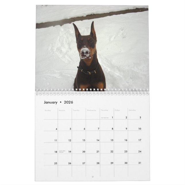 Calendário 2013 do Doberman (Jan 2026)