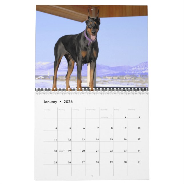 Calendário 2013 do Doberman (Jan 2026)
