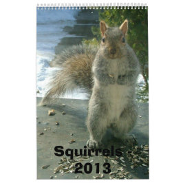 Calendário 2013 do esquilo