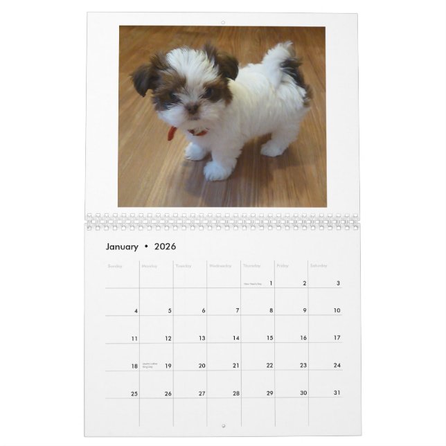 Calendário 2013 do filhote de cachorro de Shih Tzu (Jan 2026)