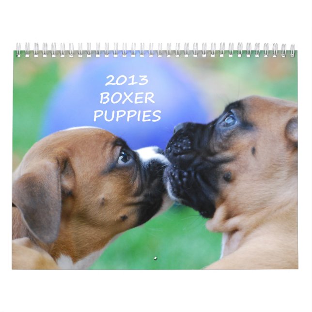 Calendário 2013 do filhote de cachorro do (Capa)