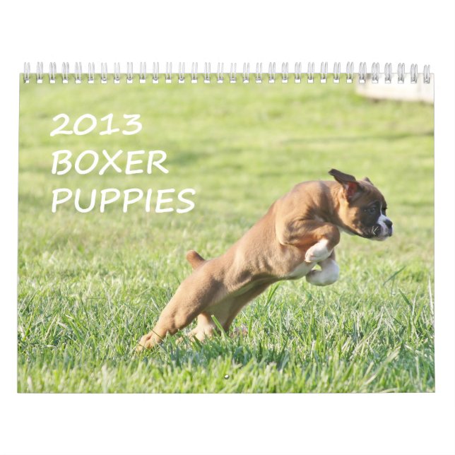 Calendário 2013 do filhote de cachorro do (Capa)