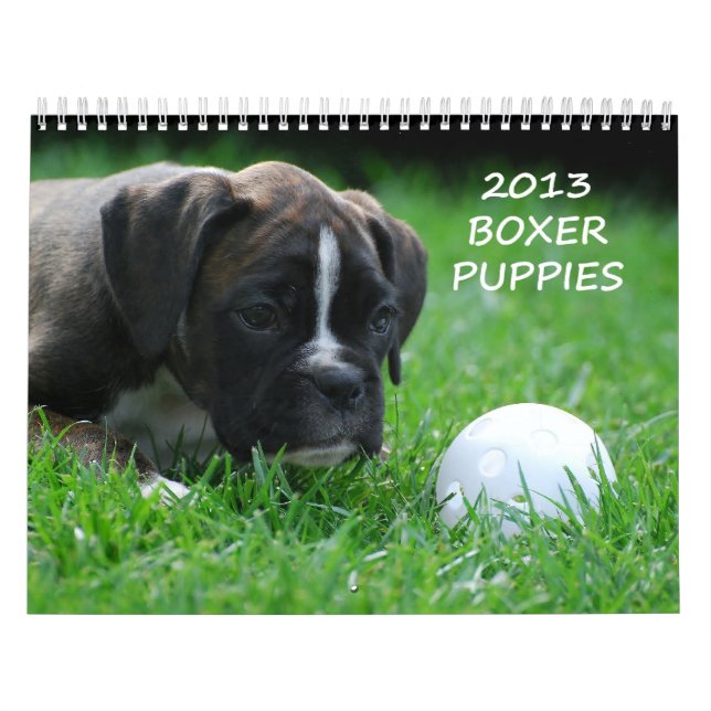 Calendário 2013 do filhote de cachorro do (Capa)