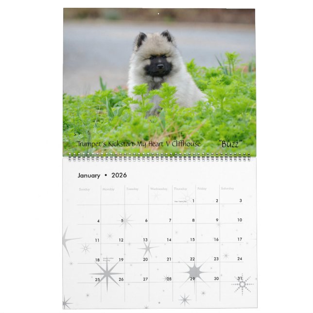Calendário 2013 do Keeshond da trombeta (Jan 2026)