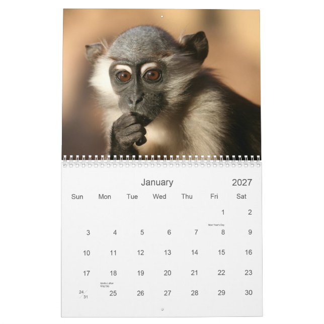 Calendário 2013 do macaco (Jan 2027)