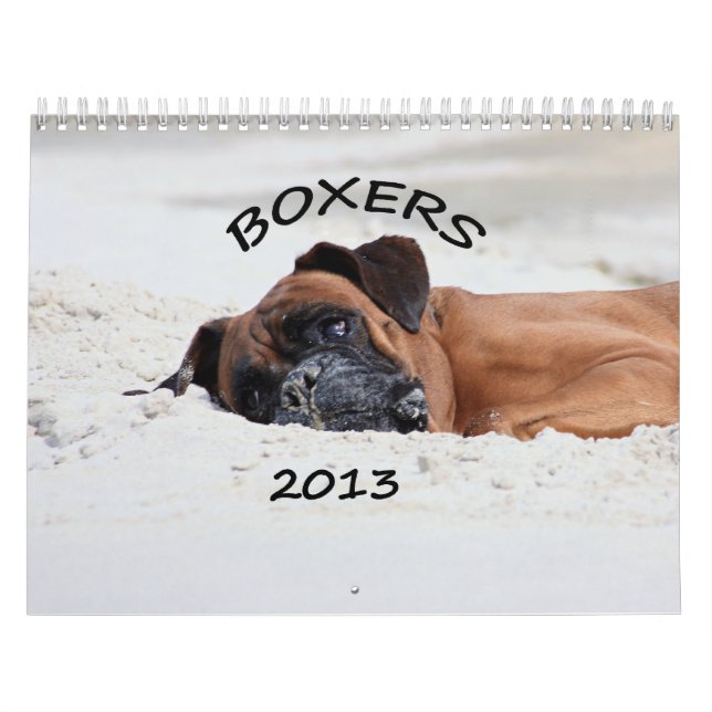 Calendário 2013 do pugilista (Capa)