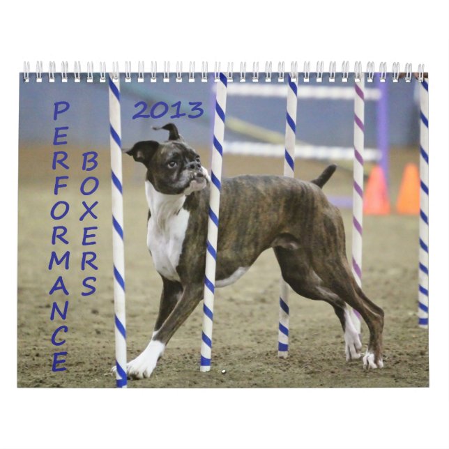 Calendário 2013 do pugilista do desempenho (Capa)