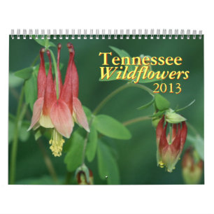 Calendário 2013 do Tennessee Wildflower
