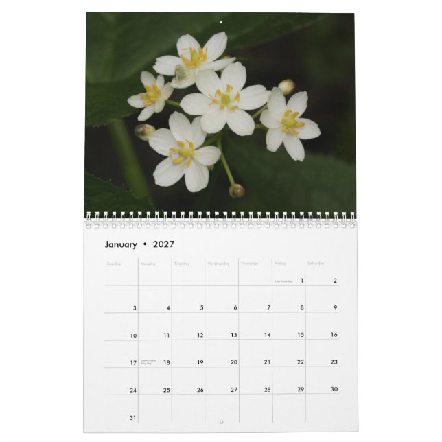 Calendário 2013 do Tennessee Wildflower (Jan 2027)