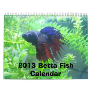 Calendário 2013 dos peixes de Betta