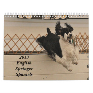 Calendário 2013 Spaniels de Springer inglês