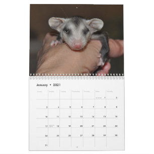 Calendário 2014 - Bebês Possum