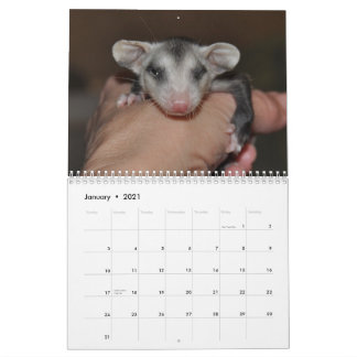 Calendário 2014 - Bebês Possum