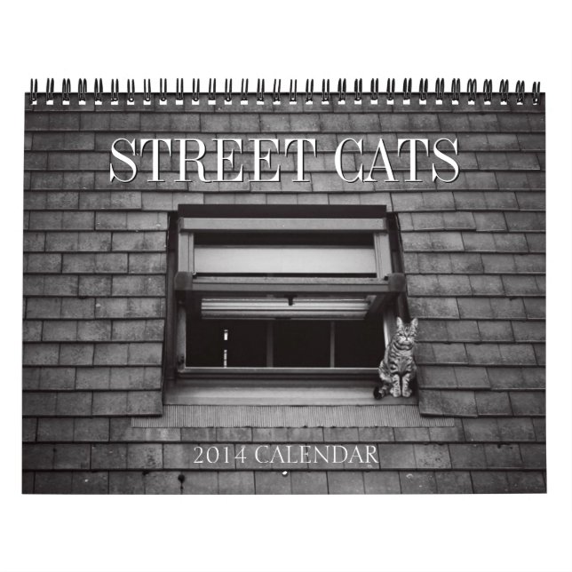 Calendário 2014 da fotografia dos gatos da rua (Capa)