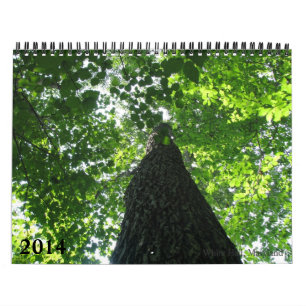 Calendário 2014 da natureza