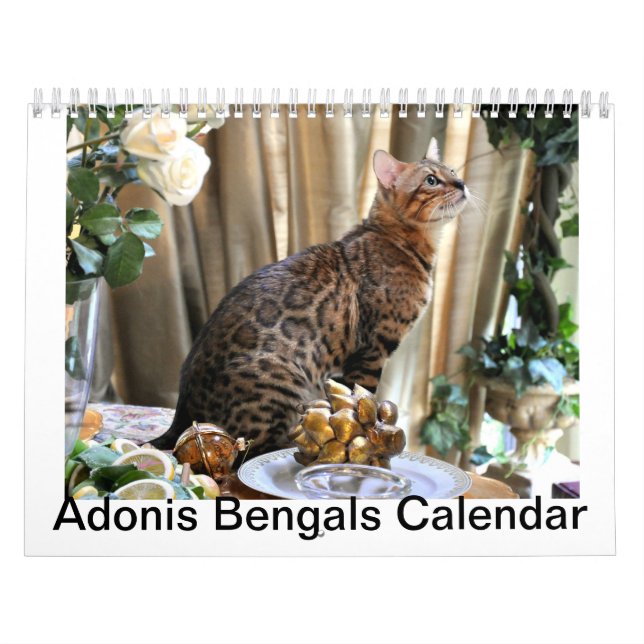 Calendário 2014 de AdonisBengals (Capa)