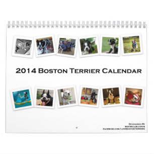 Calendário 2014 de Boston Terrier