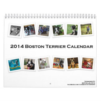 Calendário 2014 de Boston Terrier