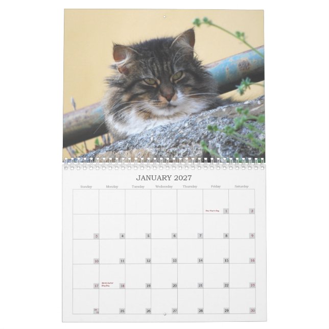 Calendário 2014 do gato (Jan 2027)