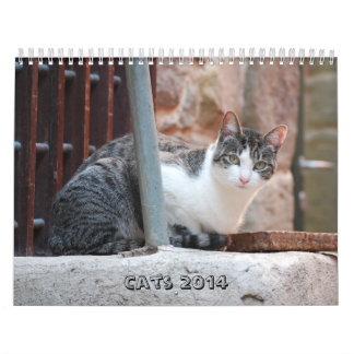 Calendário 2014 do gato