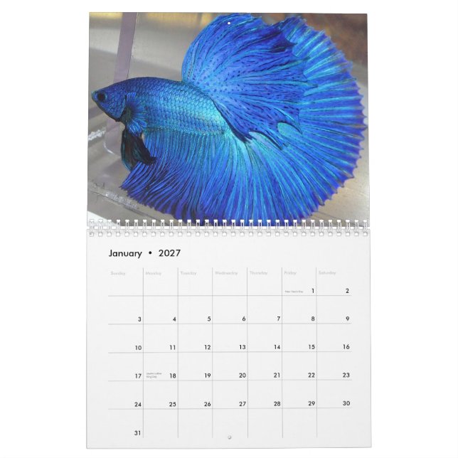 Calendário 2014 dos peixes de Betta da meia lua (Jan 2027)