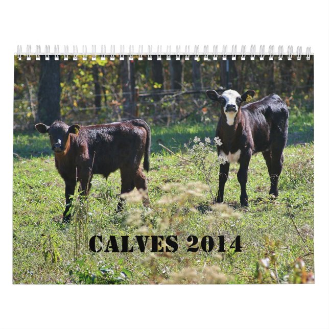 Calendário 2014 vitelas (Capa)