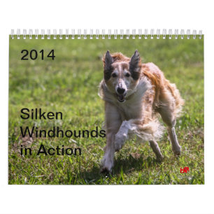 Calendário 2014 Windhounds macios na ação 1-6
