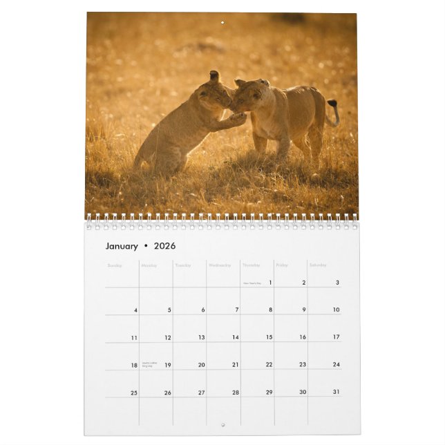 Calendário 2015 Baby Animais por McDonald Wildlife Fotografia (Jan 2026)
