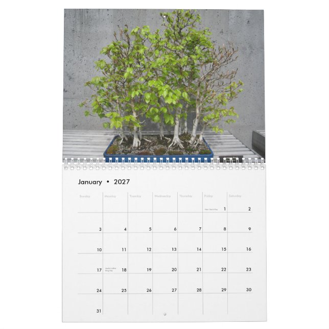 Calendário 2015 com Bonsai (Jan 2027)