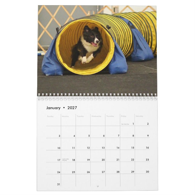 Calendário 2015 da agilidade de border collie (Jan 2027)