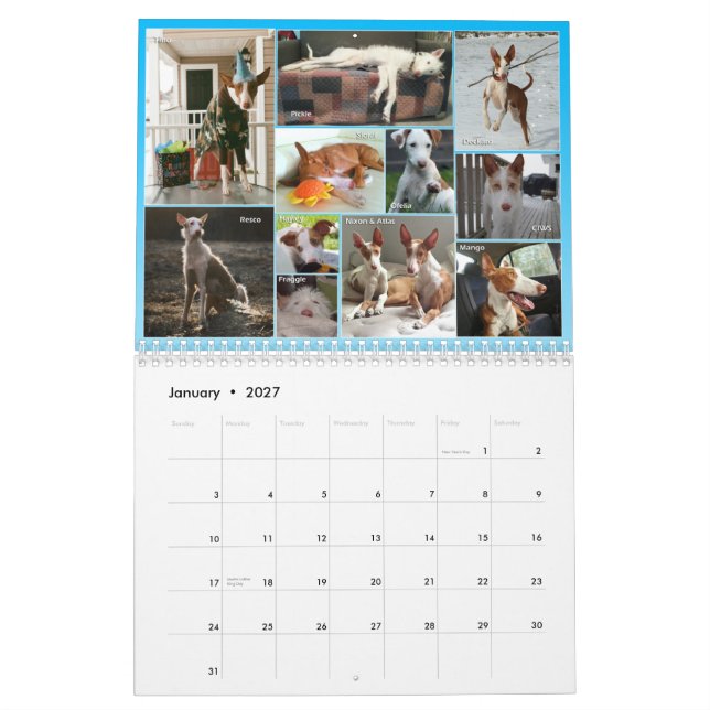 Calendário 2015 da central do cão de Ibizan (Jan 2027)