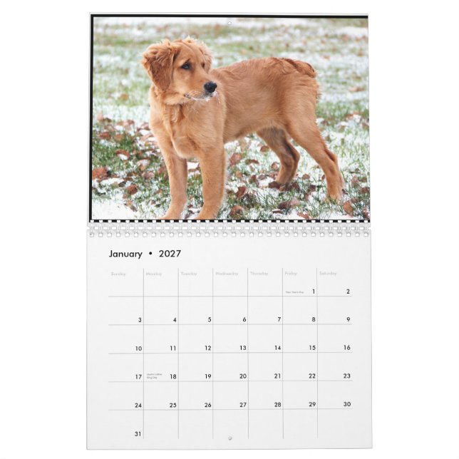 Calendário 2015 da moeda de um centavo (Jan 2027)