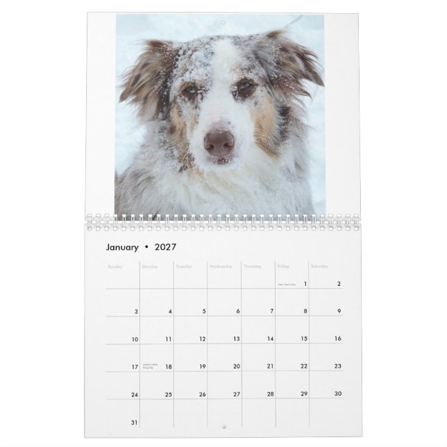 Calendário 2015 de Bellatheaussie (Jan 2027)