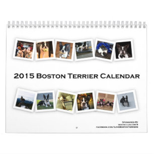 Calendário 2015 de Boston Terrier
