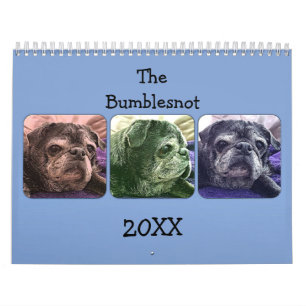 Calendário 2015 de Bumblesnot