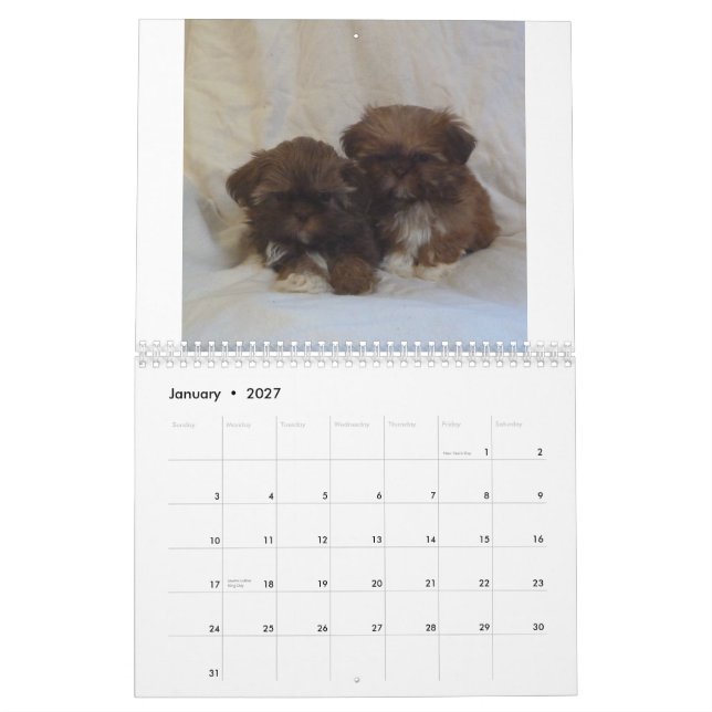 Calendário 2015 do filhote de cachorro de Shih Tzu (Jan 2027)