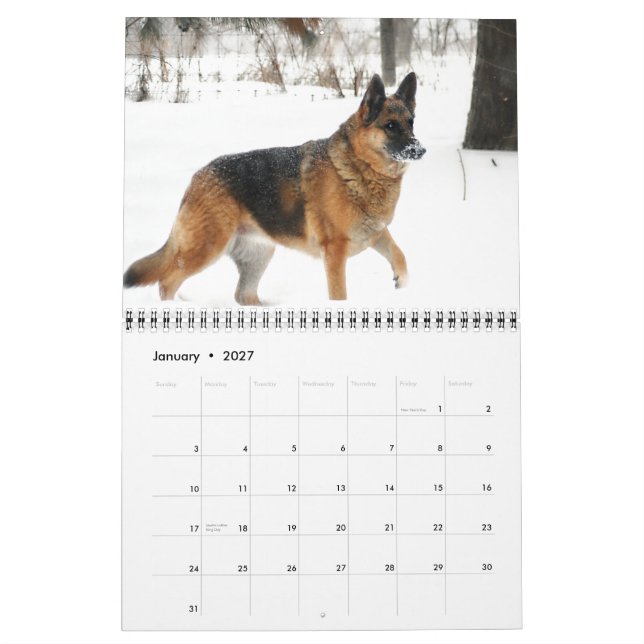 Calendário 2015 do german shepherd (Jan 2027)