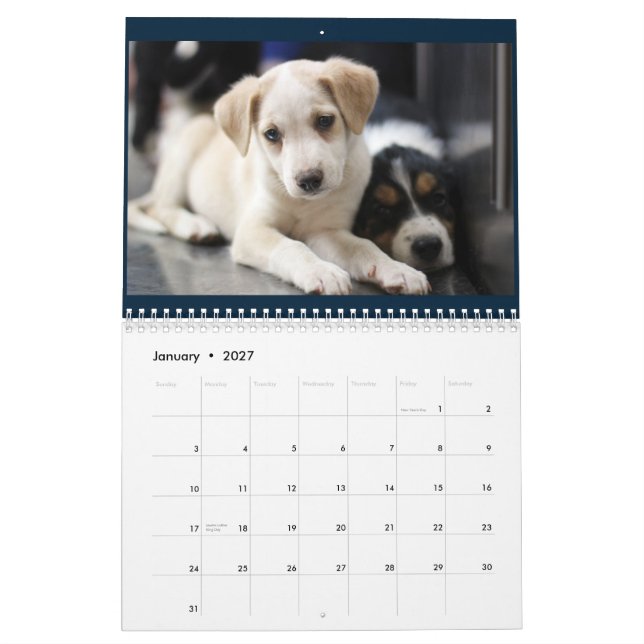 Calendário 2015 dos cuidados animais das colinas (Jan 2027)