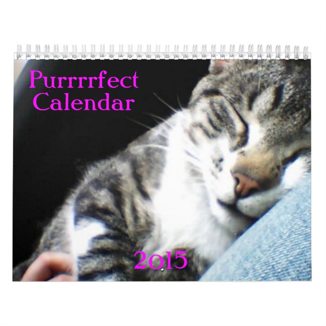 Calendário 2015 dos gatos e dos gatinhos (Capa)