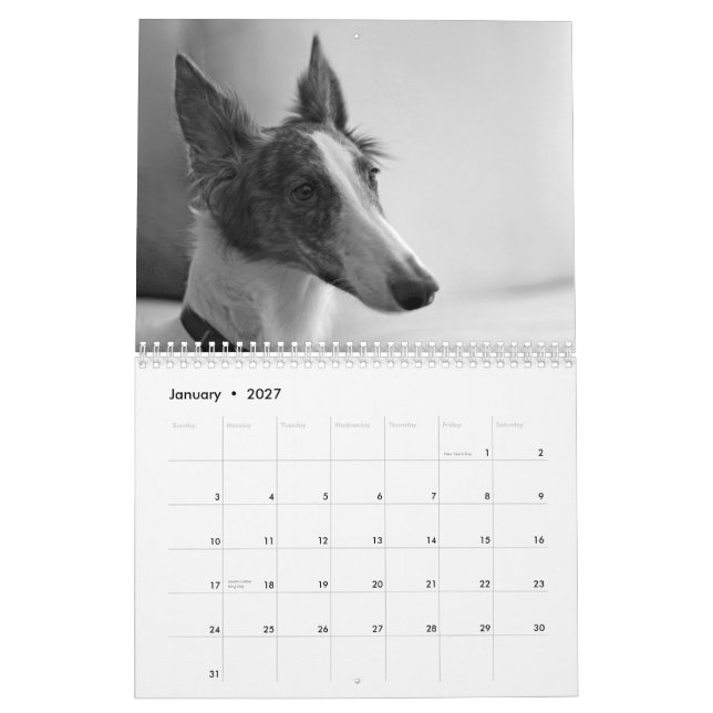 Calendário 2015 filhotes de cachorro macios de Windhound (Jan 2027)