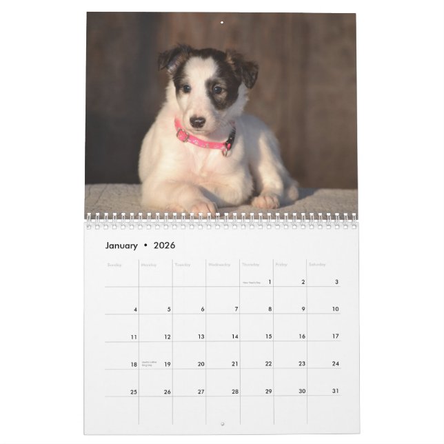 Calendário 2015 filhotes de cachorro macios de Windhound (Jan 2026)